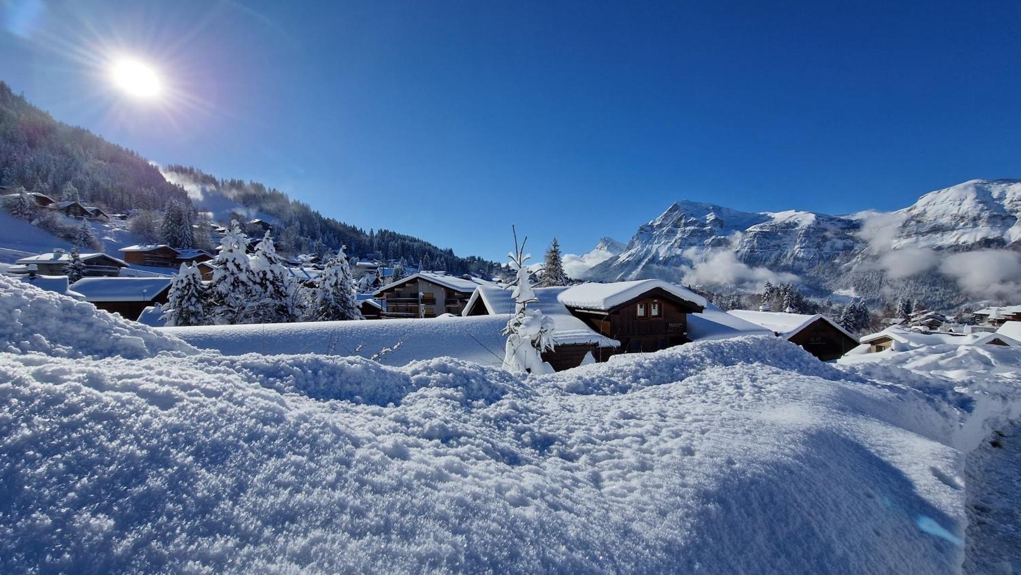 Demi-Chalet Le Bief --Prox pistes Les Carroz-d'Araches Exterior foto
