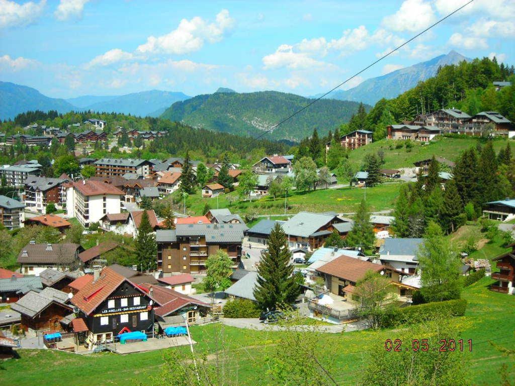 Demi-Chalet Le Bief --Prox pistes Les Carroz-d'Araches Exterior foto