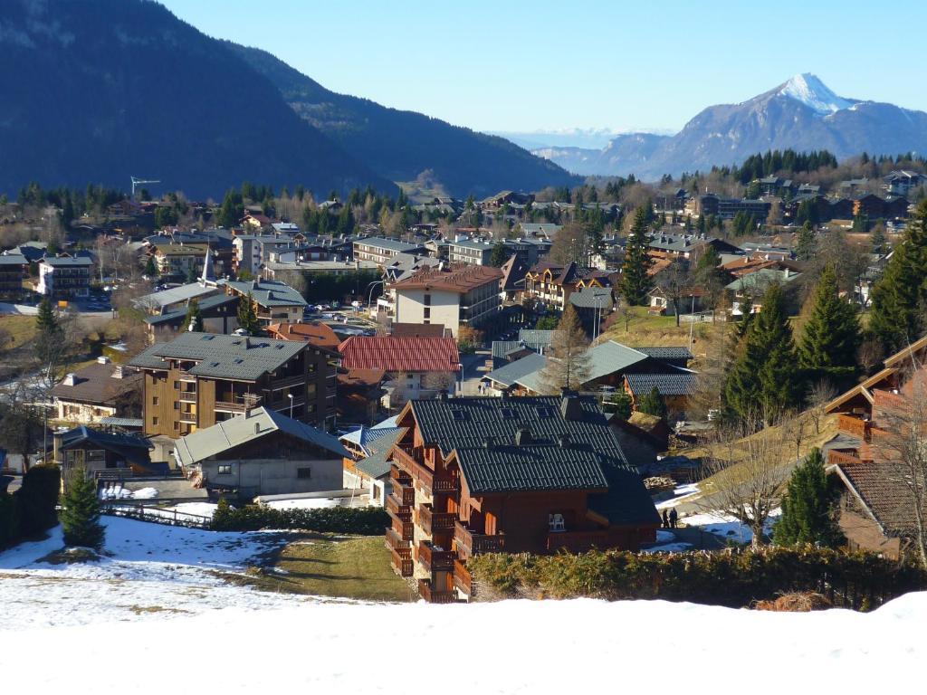 Demi-Chalet Le Bief --Prox pistes Les Carroz-d'Araches Exterior foto